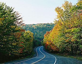 网易《明日之后》官宣联动《流浪地球2》 1月22日上线